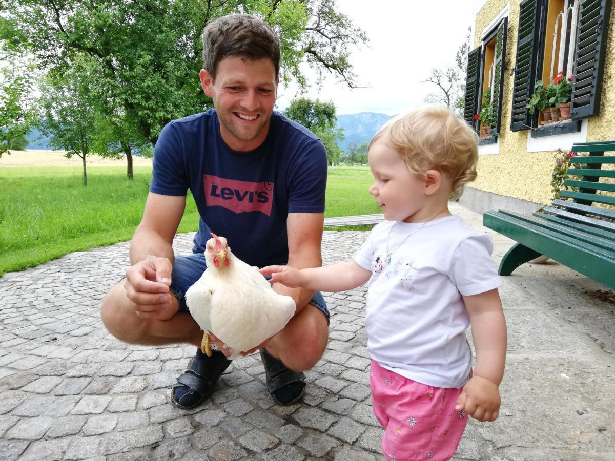 Weslhof Villa Attersee Kültér fotó